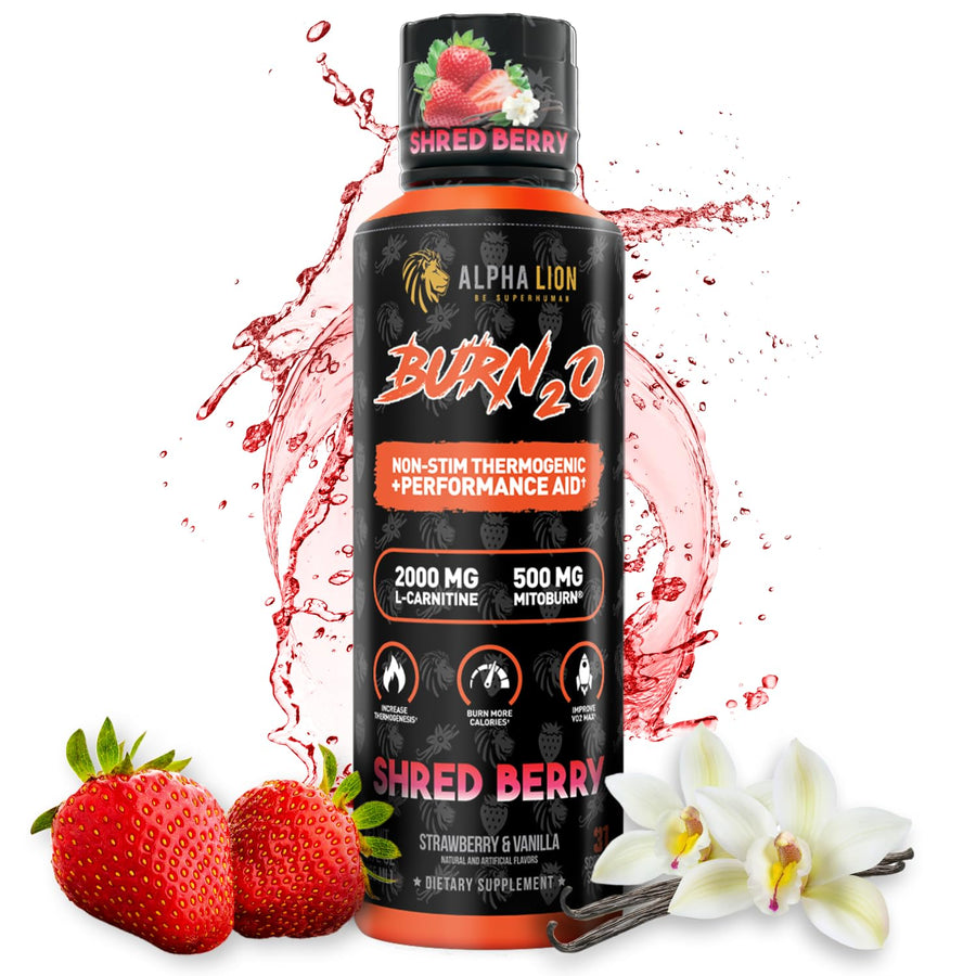 Alpha Lion Burn20 L-Carnitine Liquid – ShredBerry Flavor, Liquid Fat Burner & Energy Support (2000mg)
