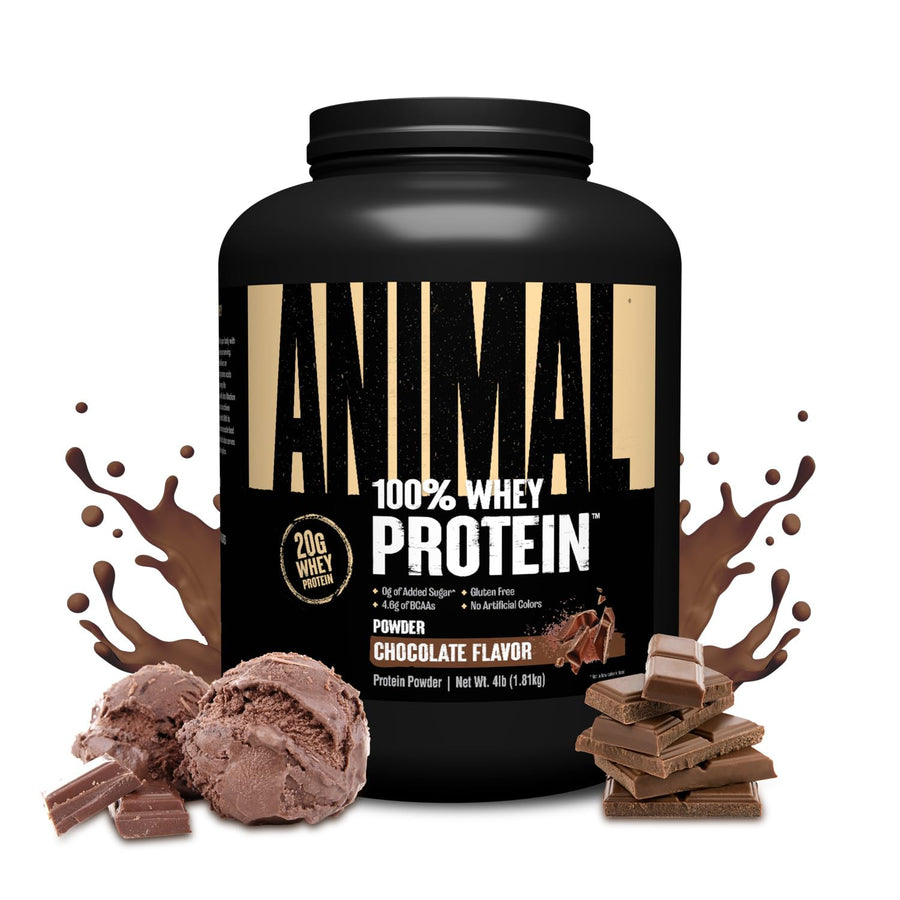Animal 100% Whey Protein – Chocolate Whey Blend Muscle Recovery Powder (4 lb)