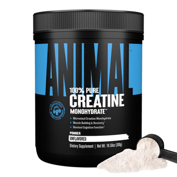 Animal Creatine Monohydrate Powder – Micronized Creatine for Women and Men, Supports Muscle Growth, Strength, Endurance, Recovery and ATP Production, Gym & Workout Supplements - Unflavored, 300g